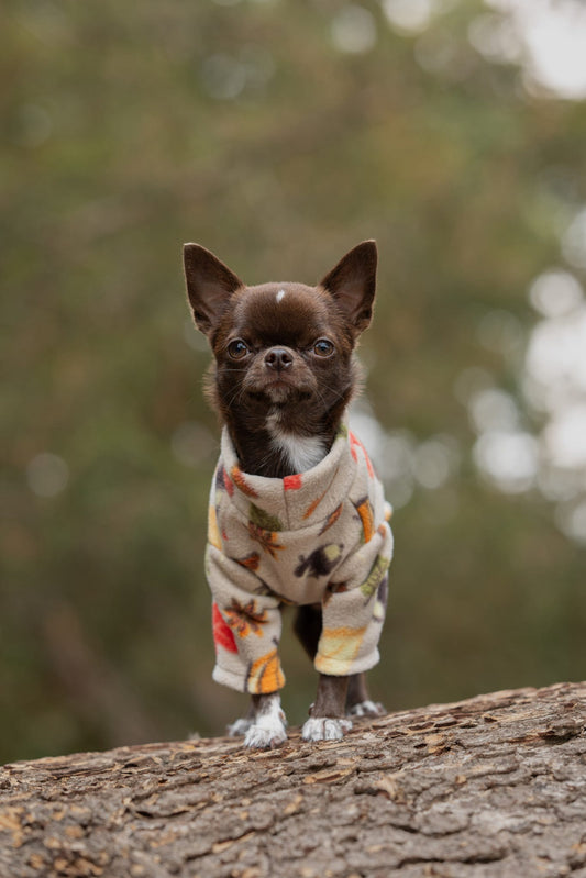 Custom Made | Polar Fleece | Two Legged - Autumn Pumpkin Print
