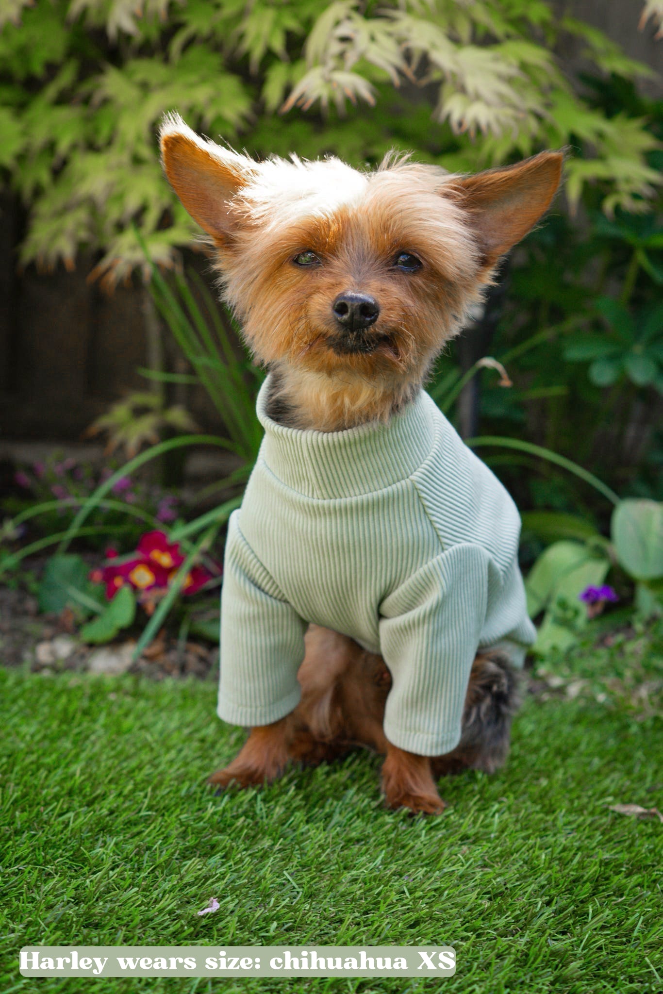 Custom Made | Jersey Rib | Two Legged - Pistachio