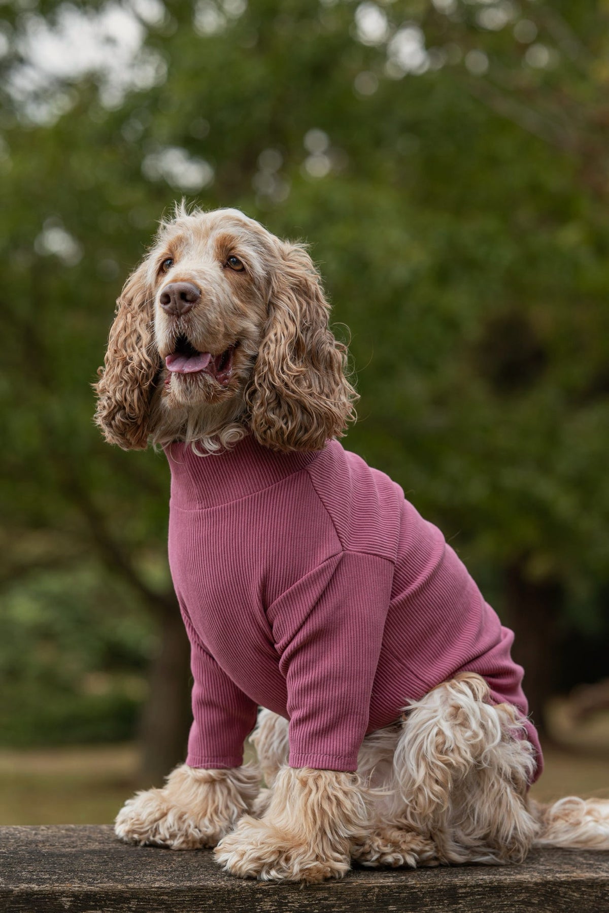 Custom Made | Jersey Rib | Two Legged - Mauve