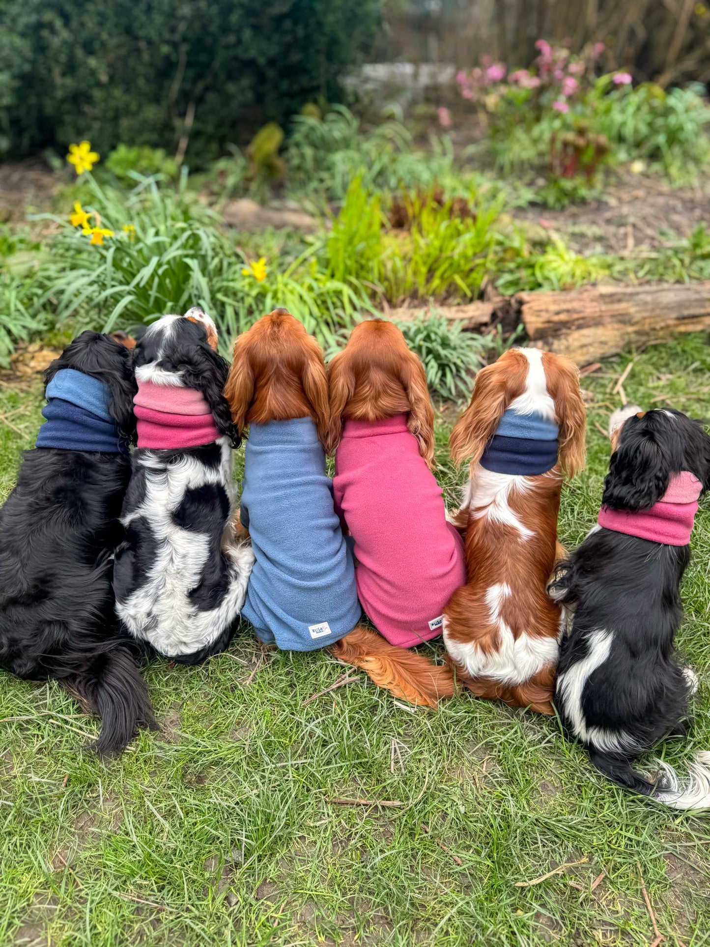 Ready To Ship | Polar Fleece | Four Legged - Denim