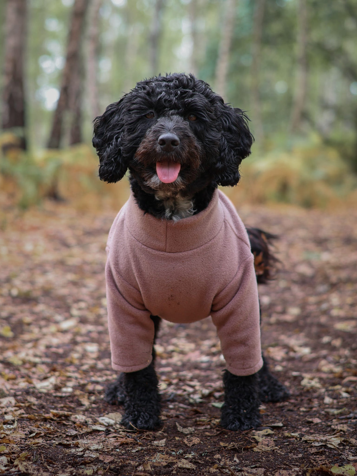 Ready To Ship | Polar Fleece | Two Legged - Mocha