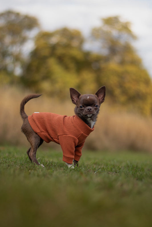Custom Made | Jersey Rib | Two Legged - Auburn