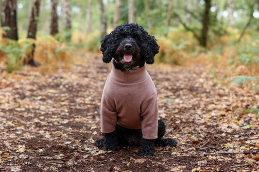 Ready To Ship | Polar Fleece | Two Legged - Mocha