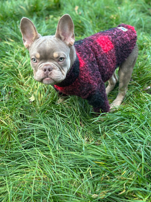 Custom Made | Teddy Borg Jumper | Two Legged - Festive Borg