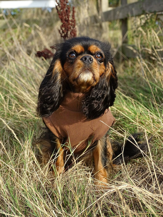 Custom Made | Jersey Rib | Tankie - Cocoa
