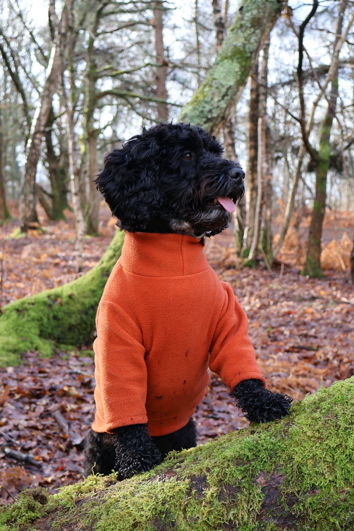 Ready To Ship | Polar Fleece | Two Legged - Rust