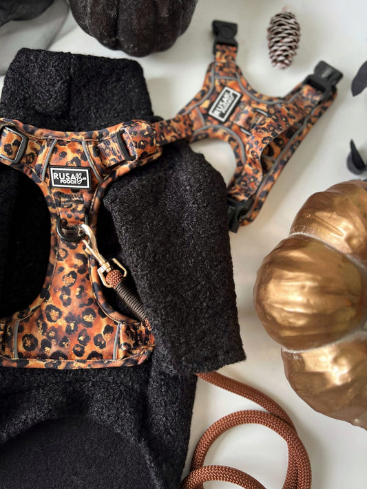 Custom Made | Teddy Borg Jumper | Two Legged - Black