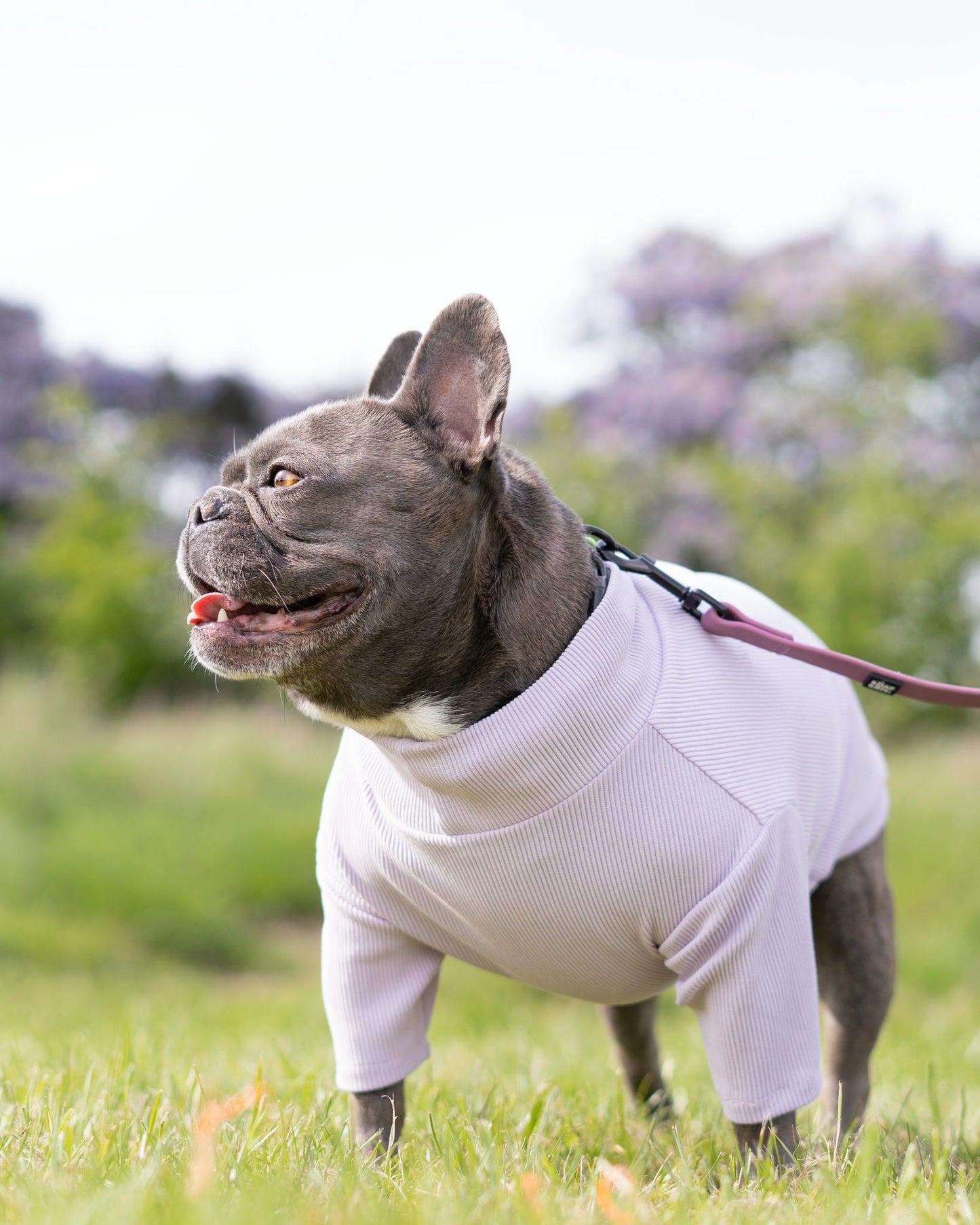 Custom Made | Jersey Rib | Two Legged - Lavender