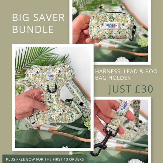 Big Saver Bundle | Adjustable Harness, Lead & Poo Bag Holder - The Secret Garden