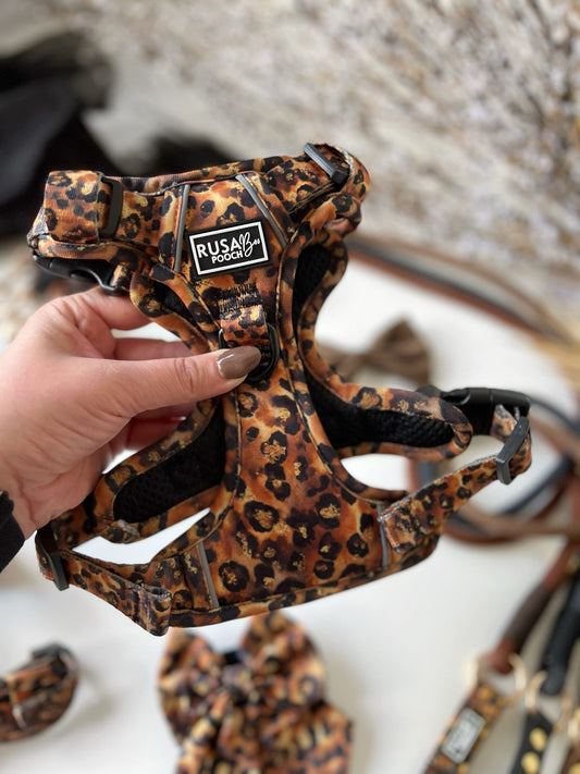 Ready To Ship | Adventure Approved Harness - Savanna