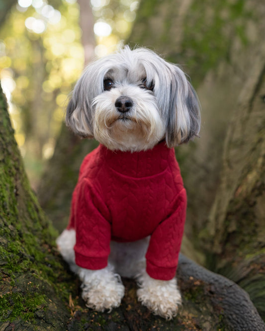 Custom Made | Cable Knit Jersey | Two Legged - Red
