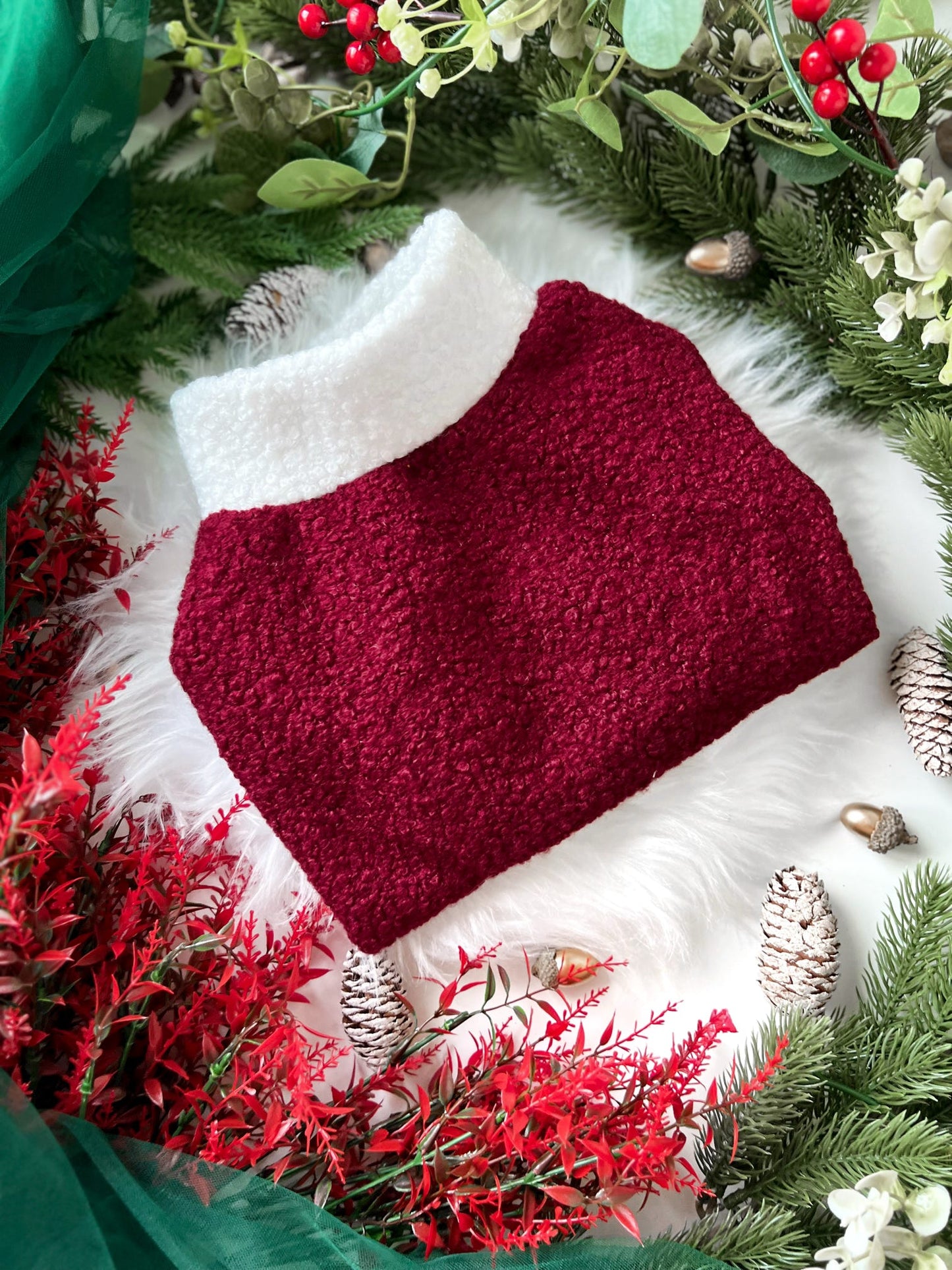 Custom Made | Teddy Borg Jumper | Two Legged - Santa Paws