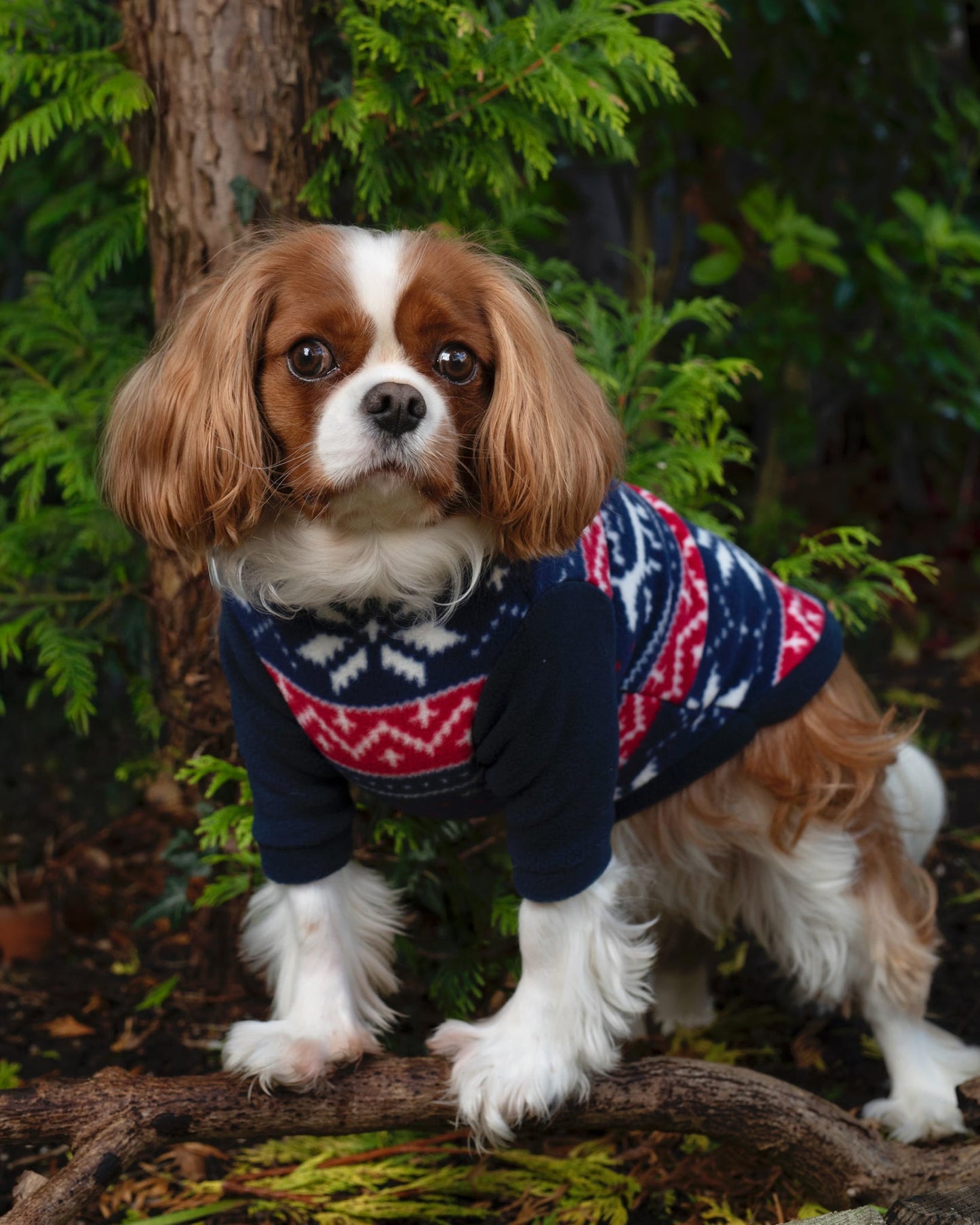 Custom Made | Polar Fleece | Two Legged - Navy Winter Fairsdale