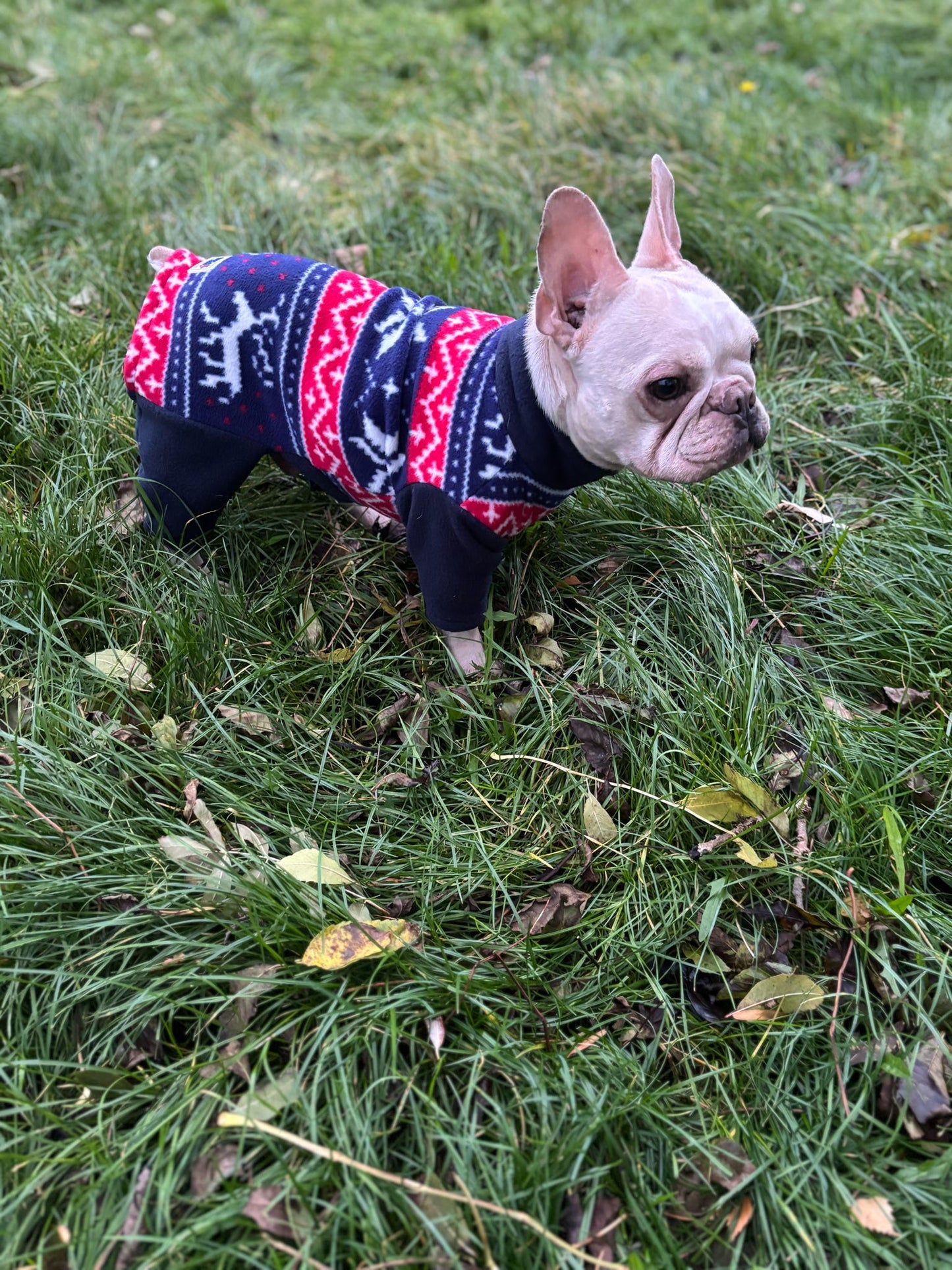 Custom Made | Polar Fleece | Four Legged - Navy Fairsdale