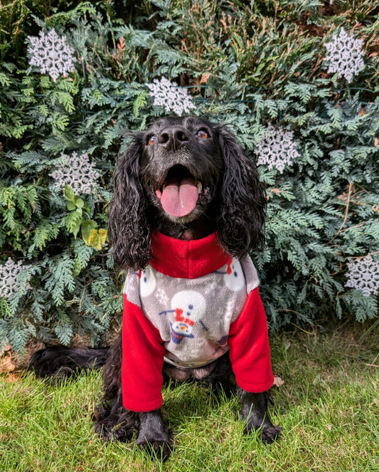 Custom Made | Polar Fleece | Two Legged - Jolly Snowman