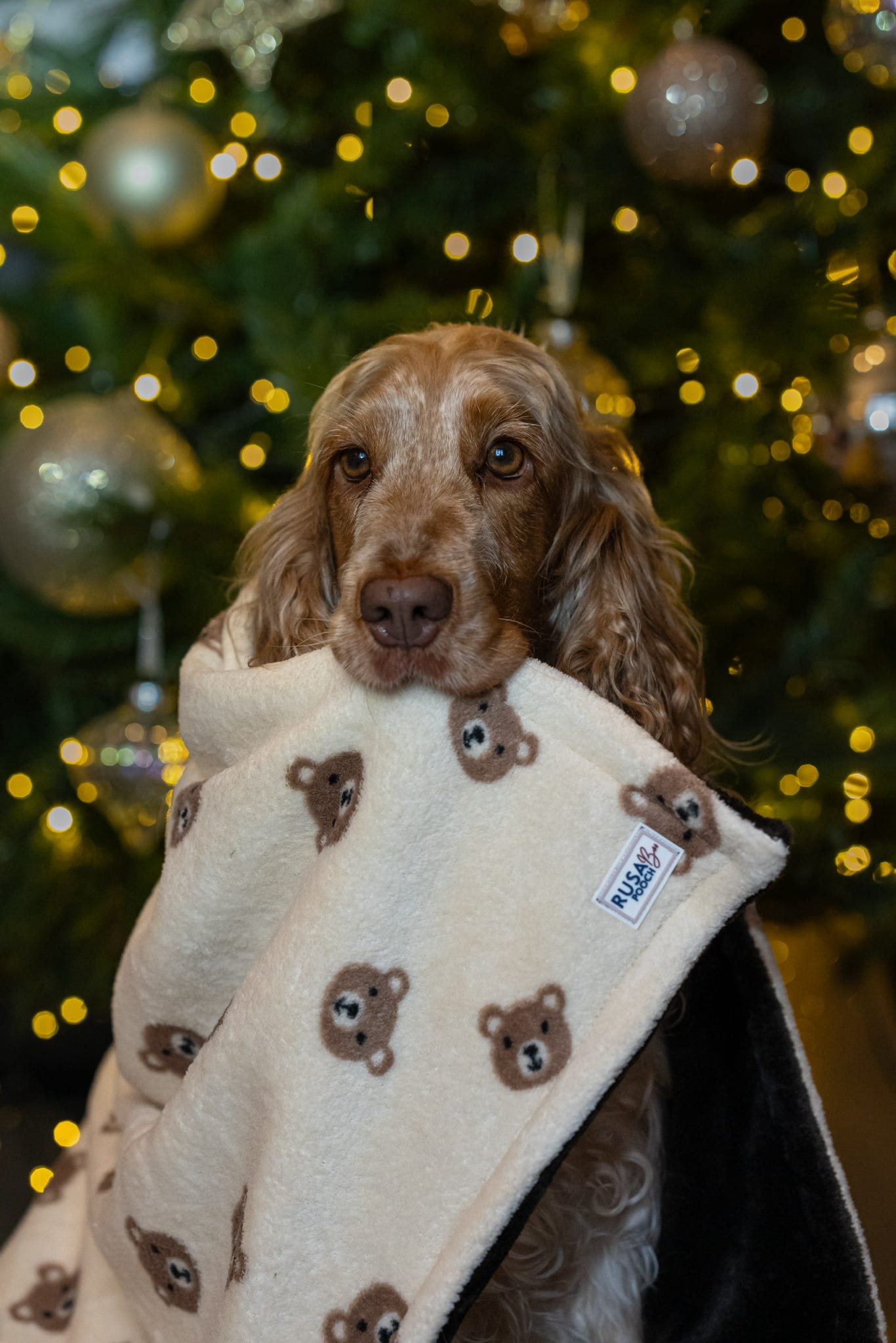 Custom Made | Blankie - Baby Bear Snuggles