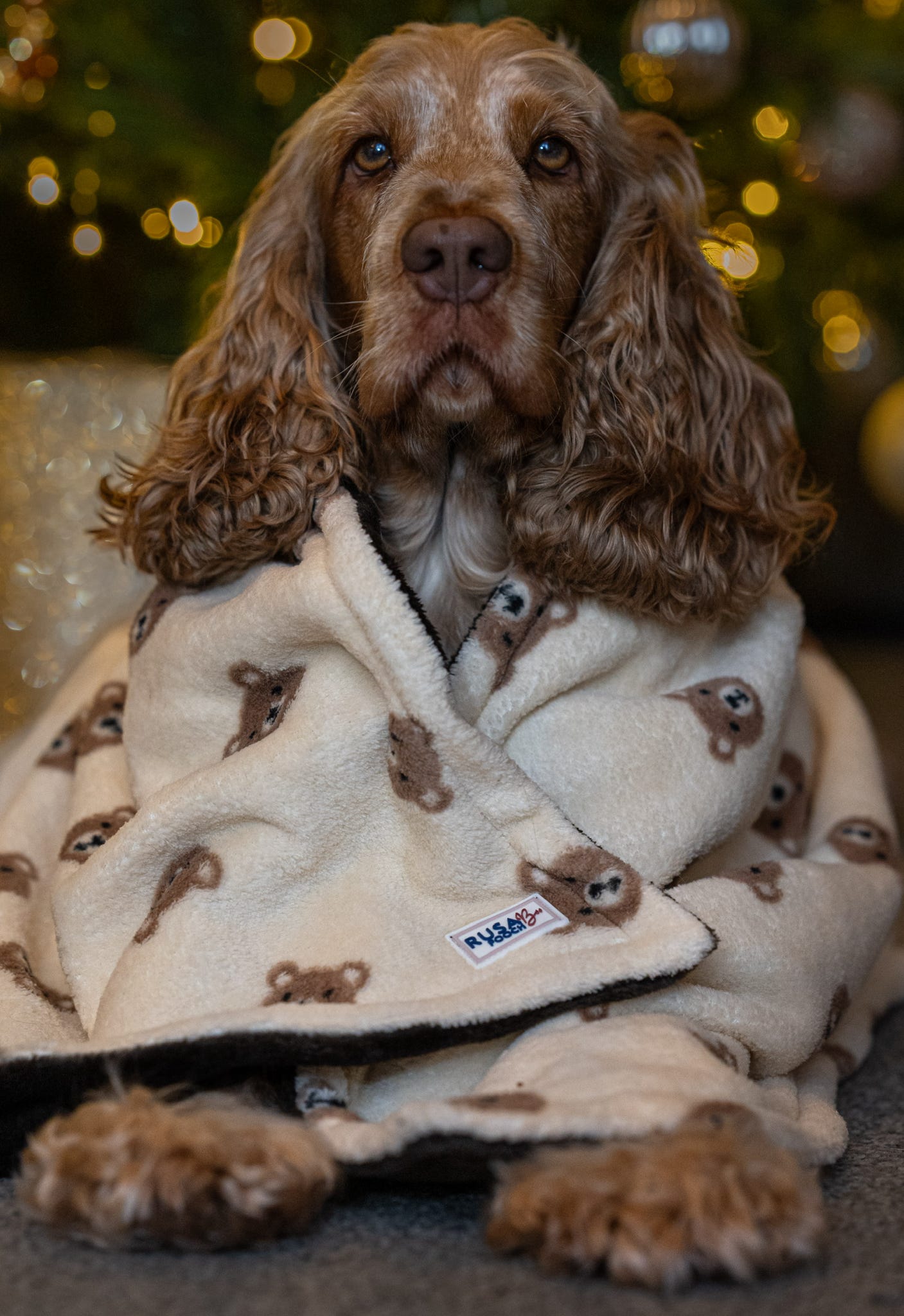 Custom Made | Blankie - Baby Bear Snuggles