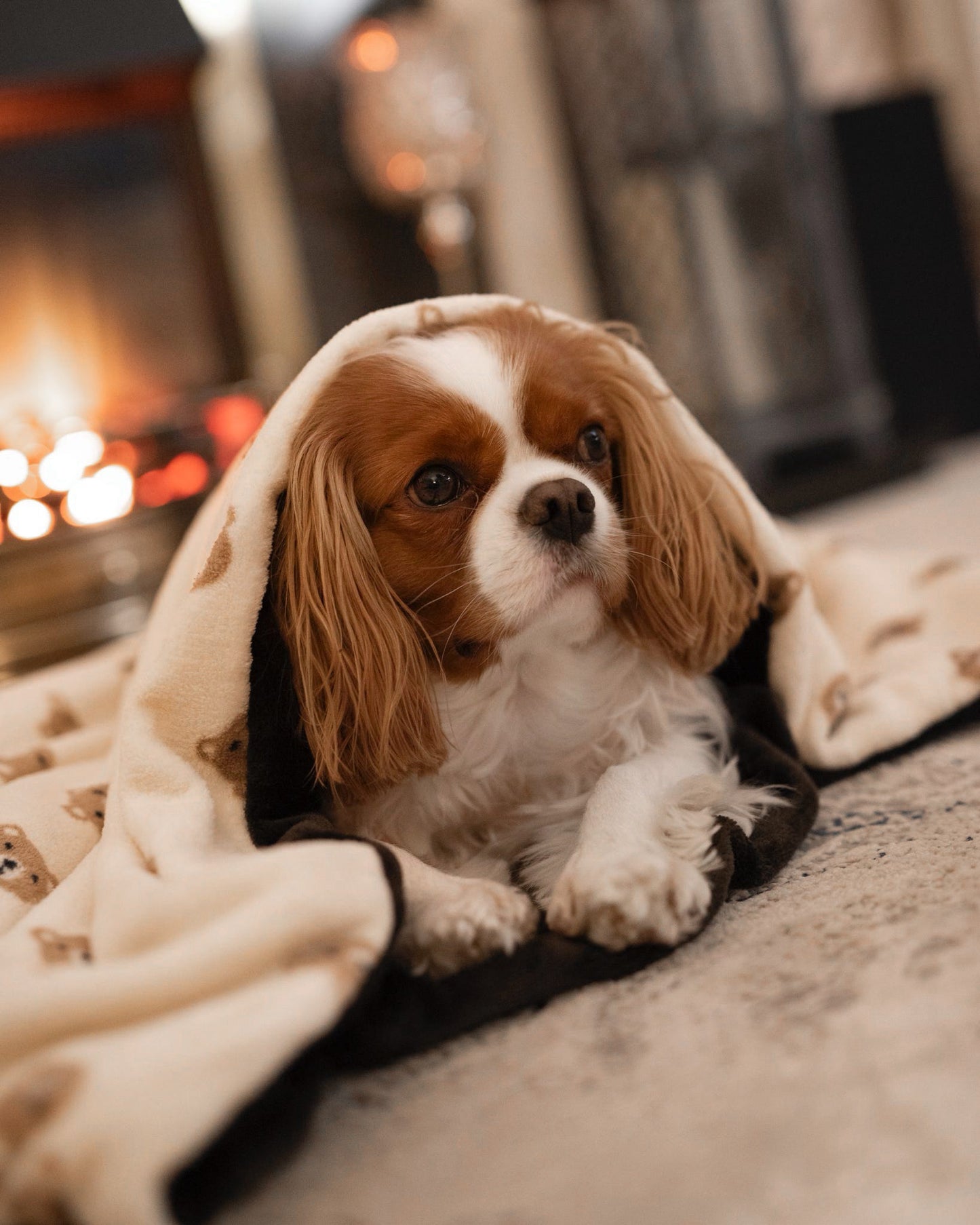 Custom Made | Snuggle Sack - Baby Bear Snuggles