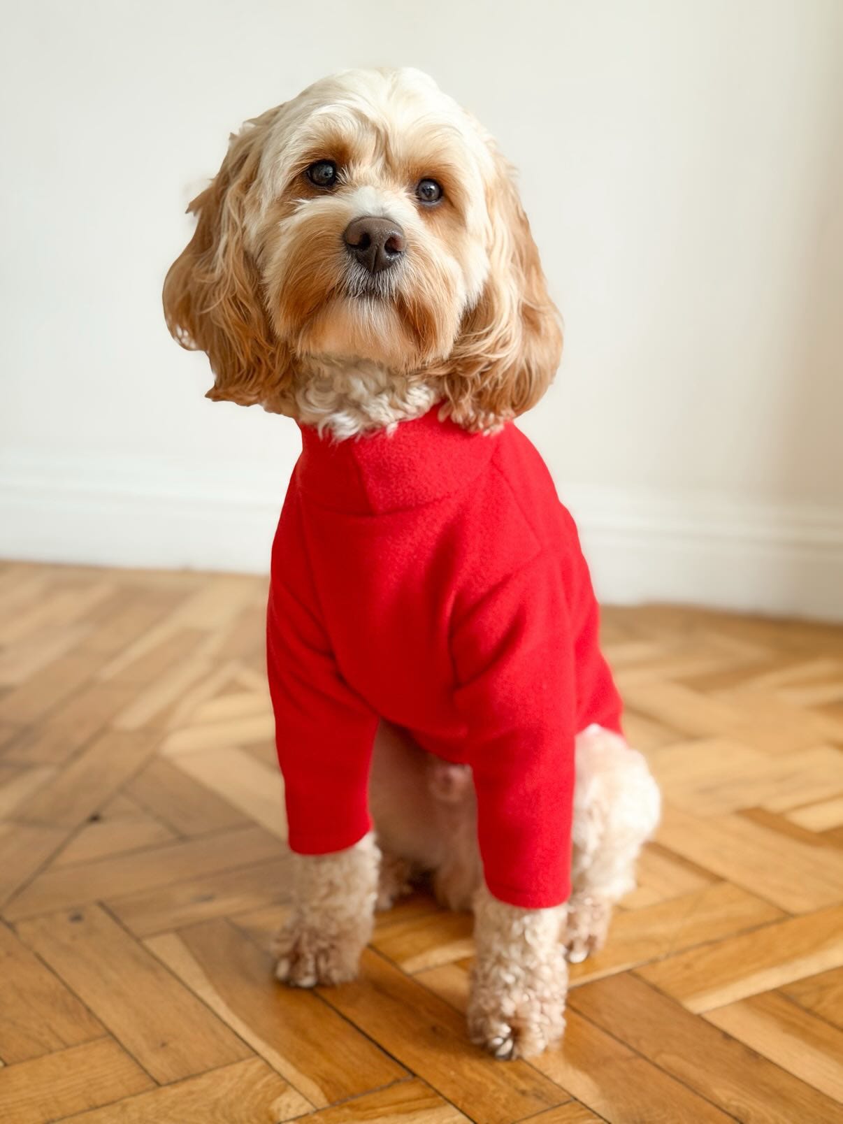 Ready To Ship | Polar Fleece | Two Legged - Cherry Red