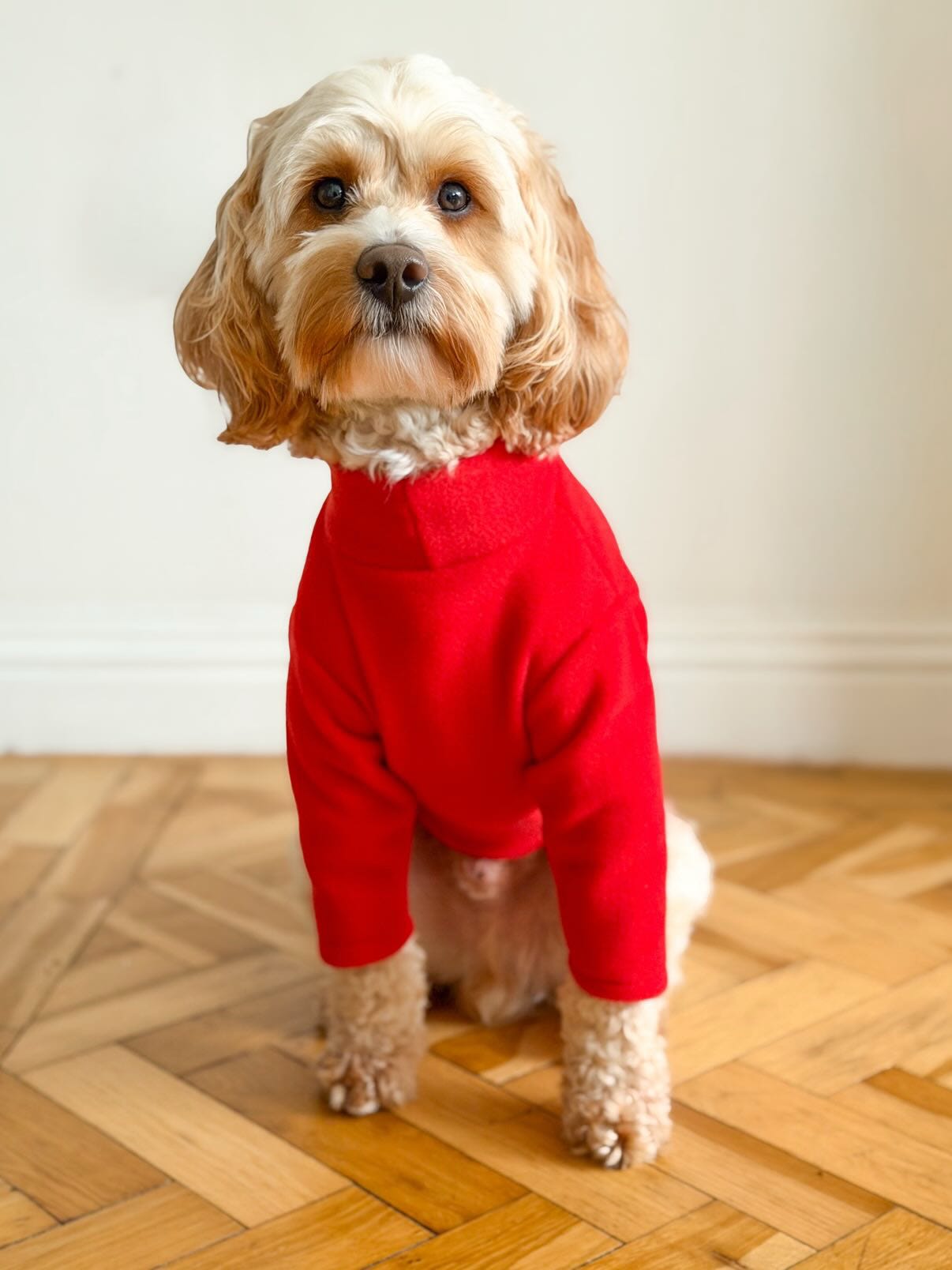 Ready To Ship | Polar Fleece | Two Legged - Cherry Red