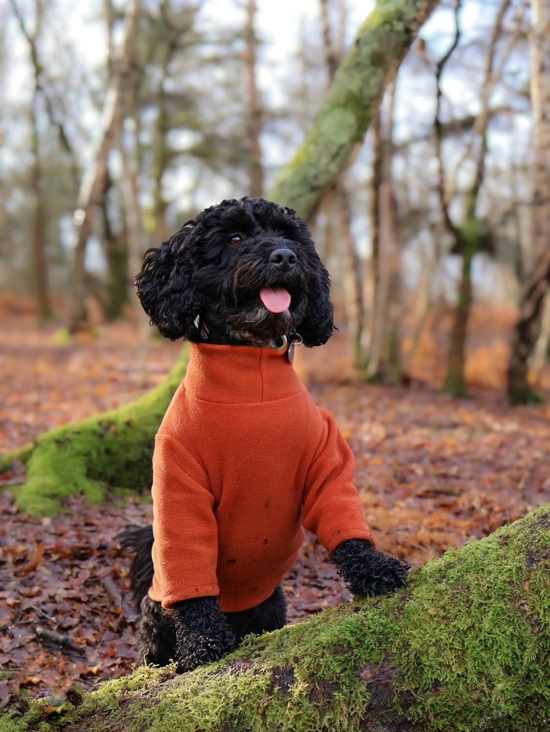 Custom Made | Polar Fleece | Two Legged - Rust