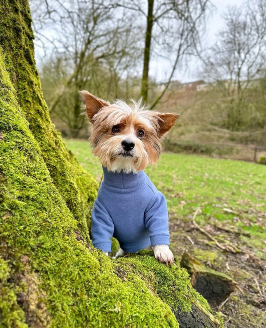Ready To Ship | Polar Fleece | Two Legged - Denim