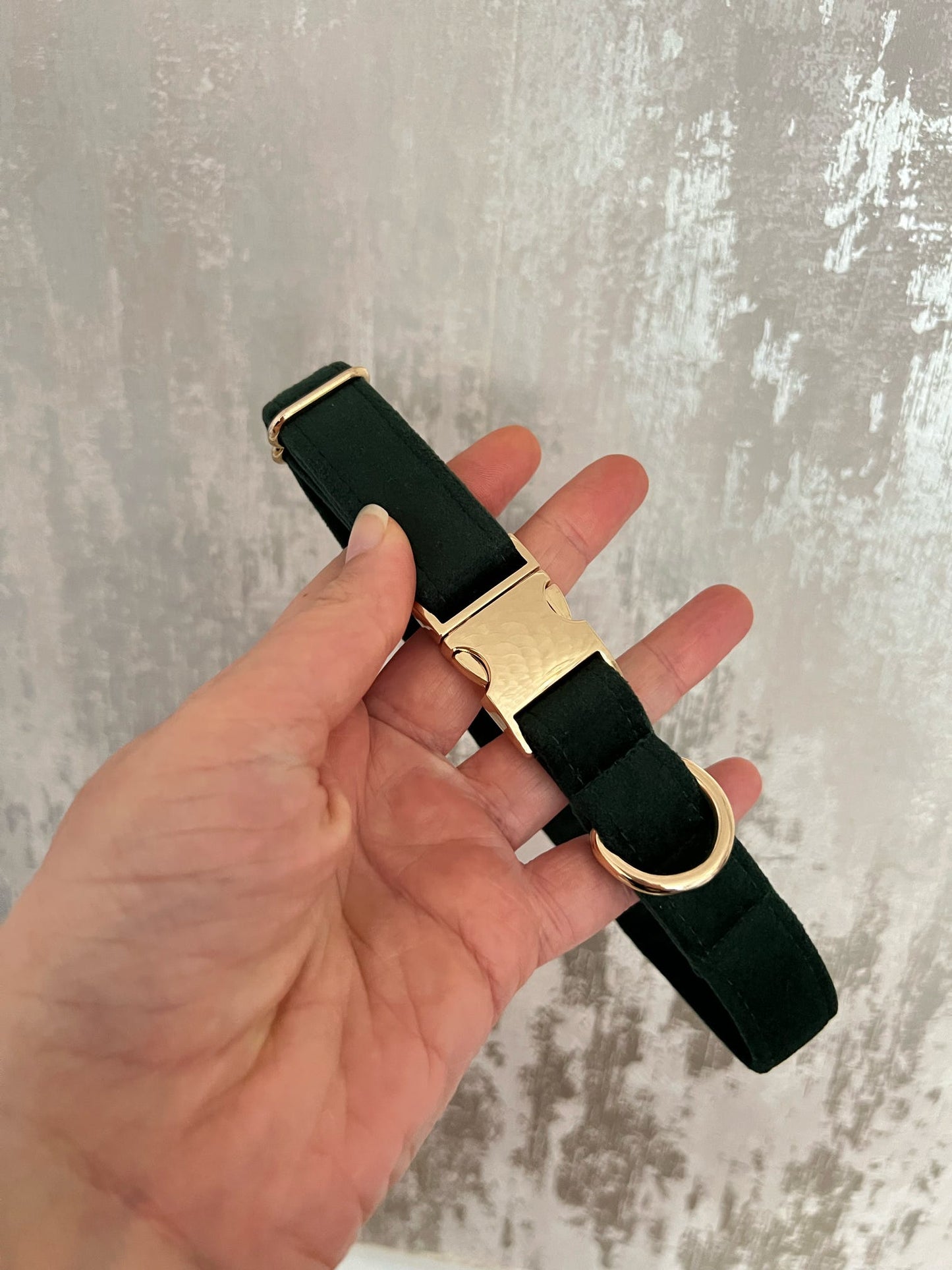 Collar | Fabric | Medium - Green Velvet