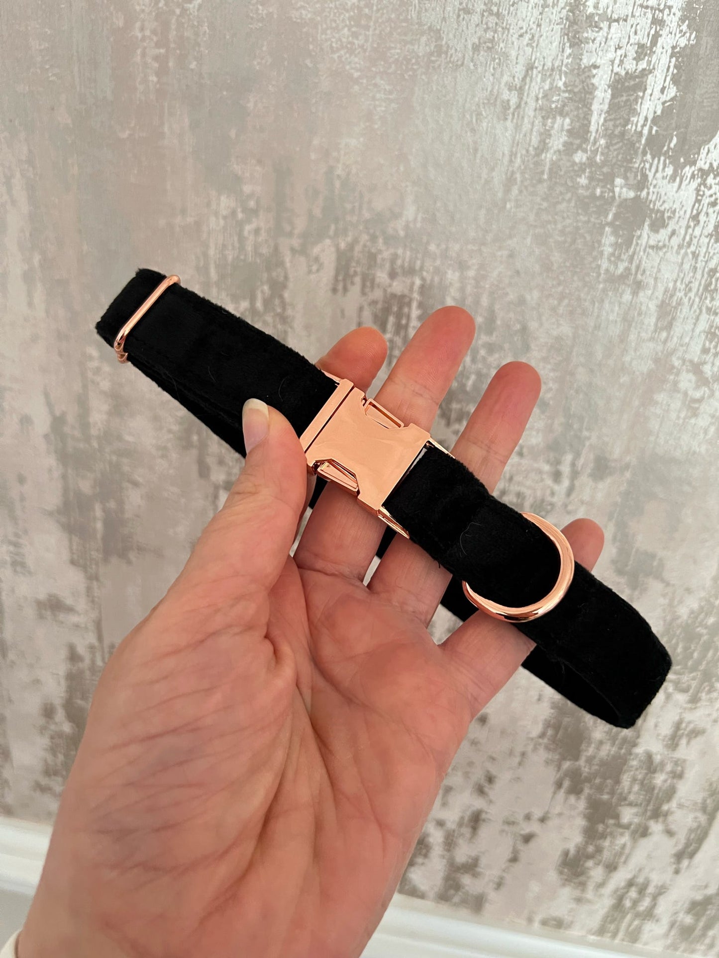 Collar | Fabric | Medium - Black Velvet