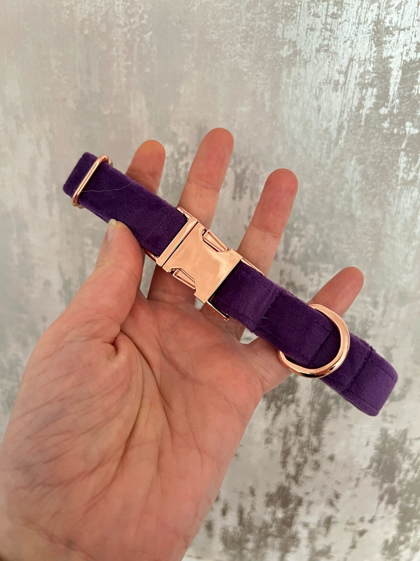 Collar | Fabric | Medium - Purple Velvet