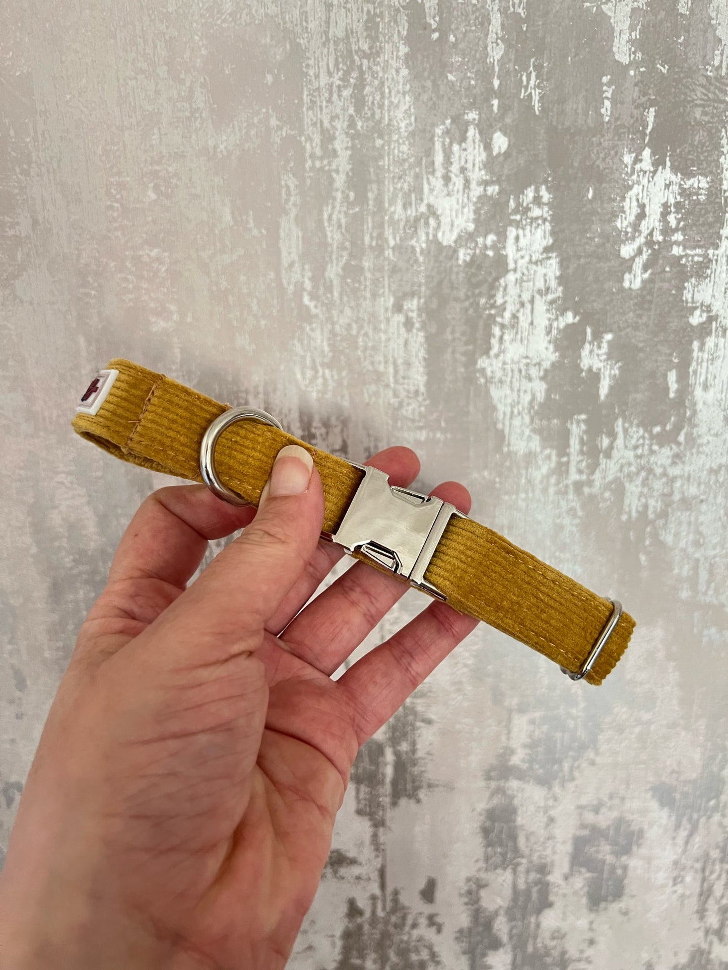 Collar | Fabric | Small - Mustard Cordrouy