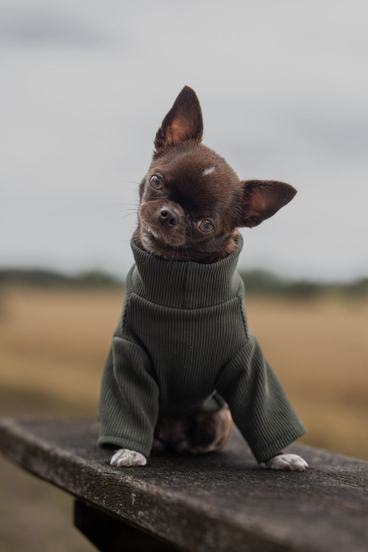 Custom Made | Jersey Rib | Two Legged - Forrest