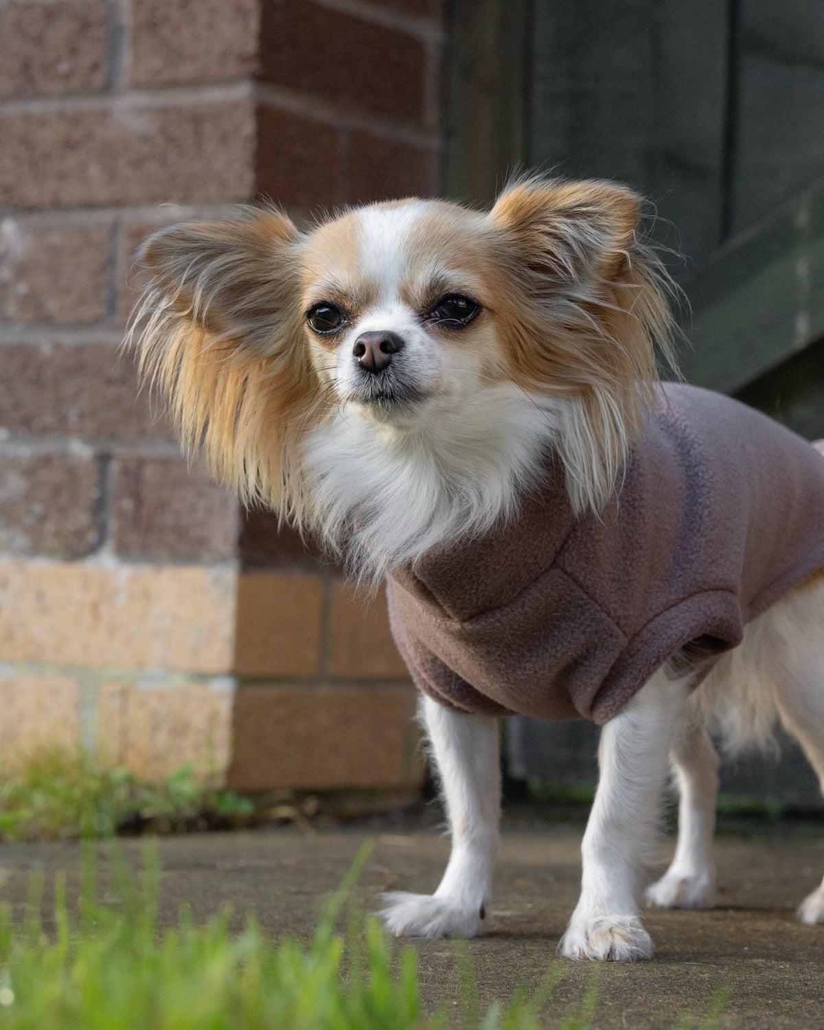 Ready To Ship | Polar Fleece | Tankie - Mocha