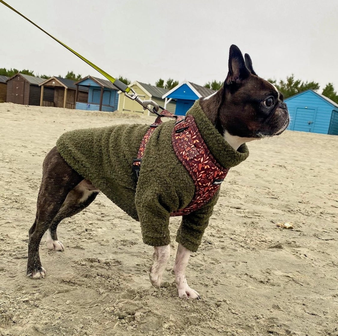 Teddy Borg Jumper | Two Legged - Dark Olive