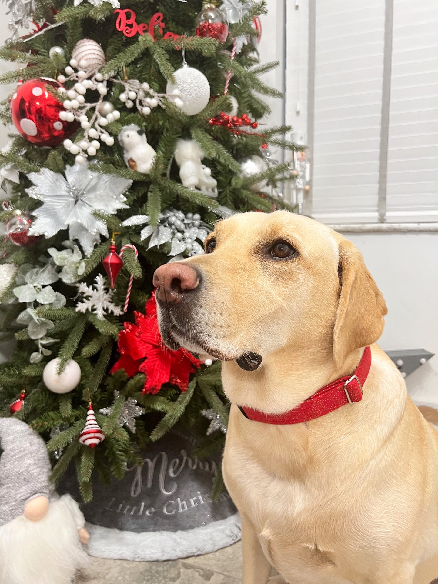 Collar | Fabric - Red Classic Christmas