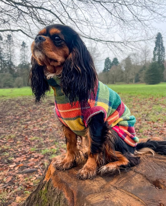 Cavalier wearing rustic roots plaid tankie Fleece