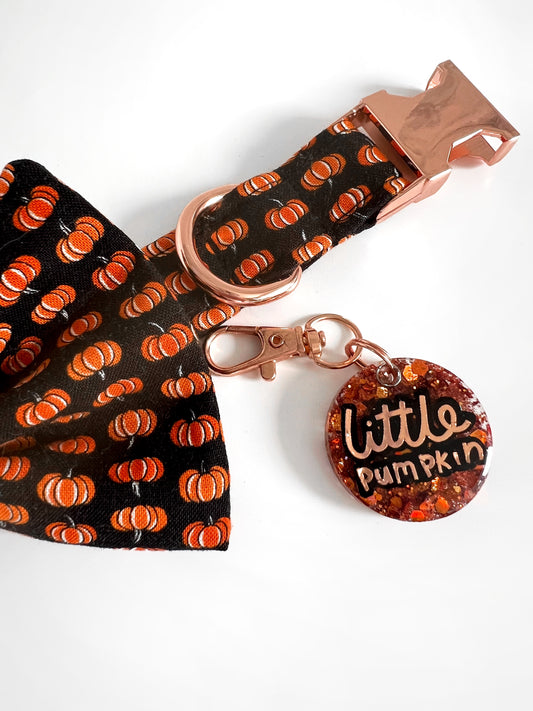 Dog Tag | Little Pumpkin