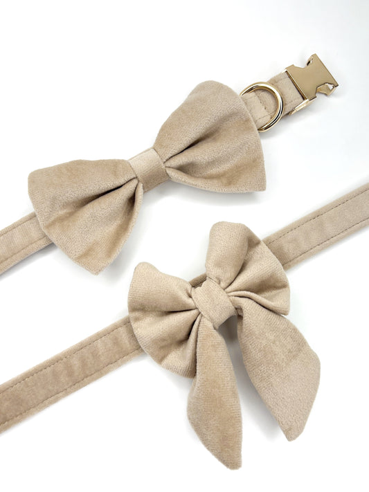 Bows - Champagne Gold Velvet