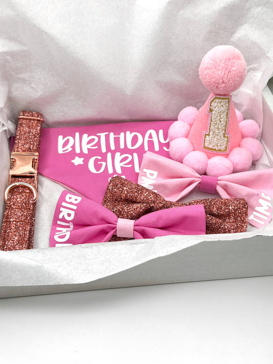 Birthday | Birthday Collar Bundle - Pink