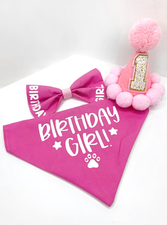 Birthday Pawty Time Bundle - Pink